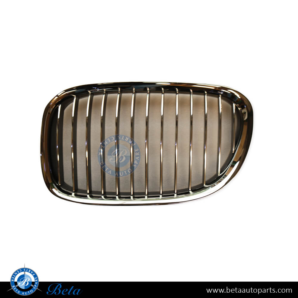 Right Side Radiator Grille for BMW 7 Series F01/F02 2009-2012 models, Part Number 51117184152 Right Side Radiator Grille for BMW 7 Series F01/F02 2009-2012 models, Part Number 51117184152